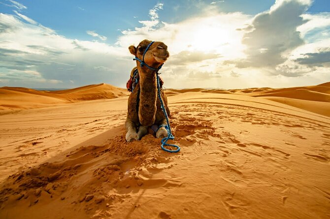 4-Days Marrakech to Marrakech Désert Tour - Atlas Studios and El Kelaa M’gouna: film sets meet rose-scented Morocco