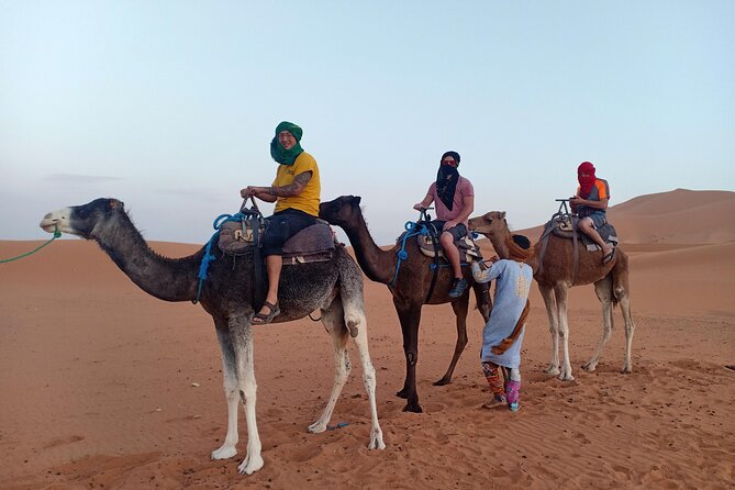 4 days Marrakech to Merzouga Desert - Todgha canyon trek: what 300m-high cliffs really means