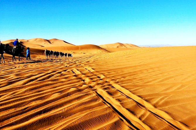 4 days Morocco Sahara Tour - Key highlights you’ll feel quickly
