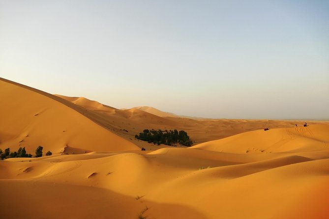 4 days Morocco Sahara Tour - Skoura, roses, and canyon towns: Dades Gorges and Todra Gorge on the same trip