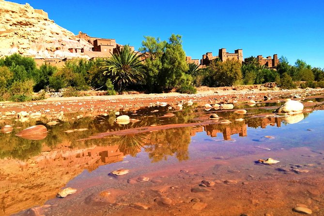 4 days Morocco Sahara Tour - Leaving the dunes for Fes: Ziz Oases, Azrou monkeys, and Ifrane breaks