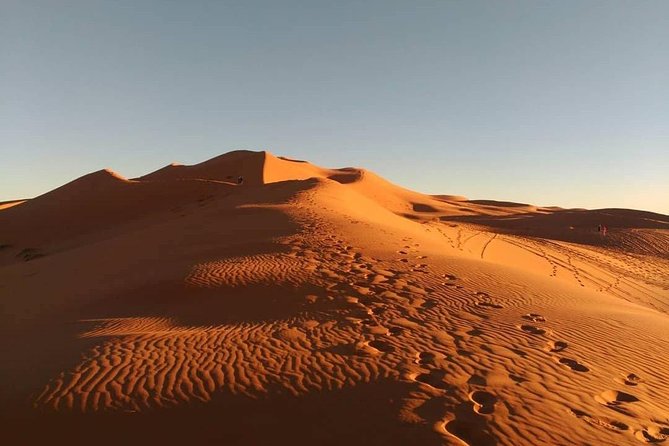 4 Days: Private Desert Tour from Marrakech to Merzouga & Camel Trek - Day 2: Todra canyon, Erfoud area fossils, and the shift into Erg Chebbi dunes