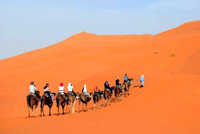 4 Days Private Morocco Sahara Desert Tour from Fes to Marrakech - Azrou barbary monkeys: a fun stop that breaks up the road
