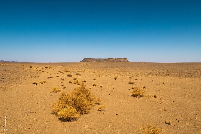 4 Days Private Tour to Ouzina Desert and Merzouga - Day 2: Todra Gorges walk and the drive down to Ouzina
