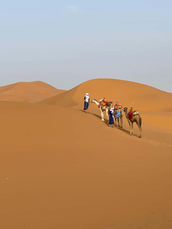 4 days Sahara Desert Tour From Marrakech To Merzouga dunes - Marrakech to the Atlas: the drive you’ll remember
