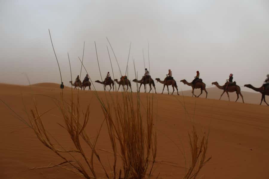 4 days Sahara Desert Tour From Marrakech To Merzouga dunes - Ait Ben Haddou: UNESCO fortress vibes, not just a photo stop