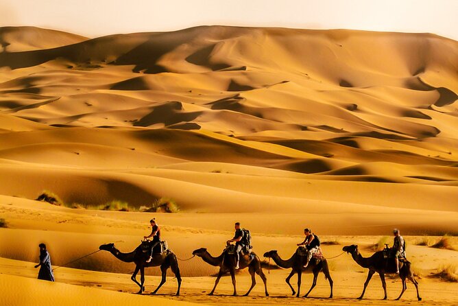 4 Days Sahara Desert VIP Private Tour from Marrakech & Luxuy Camp - Day 2: Dades valley detours, monkeys-fingers rock, then Toudra Gorge to Merzouga