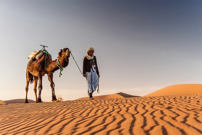 4 days tour from Marrakech to Marrakech - Price and What $388.50 Really Covers
