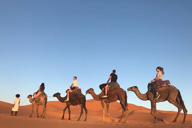 4 days tour from Marrakech to Marrakech - Private Tour Style: Who It Suits (and Who Might Want Something Different)