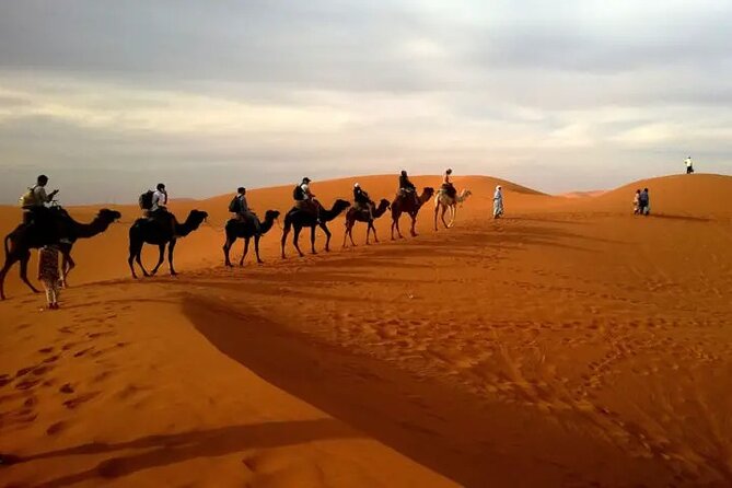 4 days tour from Marrakech to Marrakech - Things to Watch Out For Before You Commit