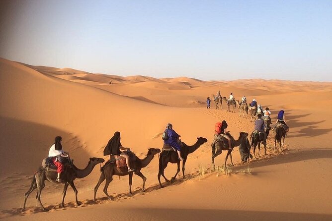 4 days tour from Marrakech to Marrakech - Should You Book This Marrakech-to-Marrakech Desert Tour?