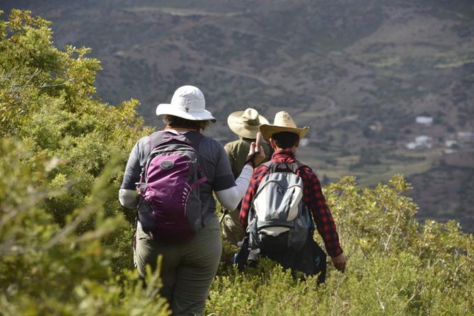 4 days trekking in the Rif mountains - Day 4: The Panoramic Finish Over Chefchaouen
