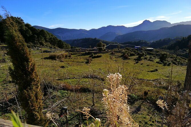 4 days trekking in the Rif mountains - Price and value: why $329.63 can make sense here