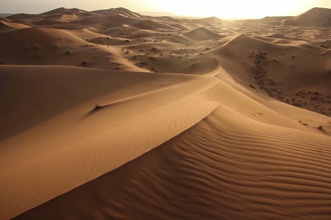 4 Days,Trip Desert From Marrakech to Merzouga - Day 2: Dades Valley panoramas, Todra Gorge hiking, and Erfoud fossils