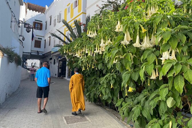 4 hour private Tour of Tangier - Moshe Nahon Synagogue and the American Legation Museum option