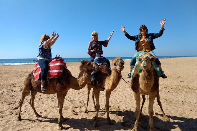 4 Hour Tangier City Private Tour - Jardin de la Mendoubia, American Legation Museum, and Synagogue Time