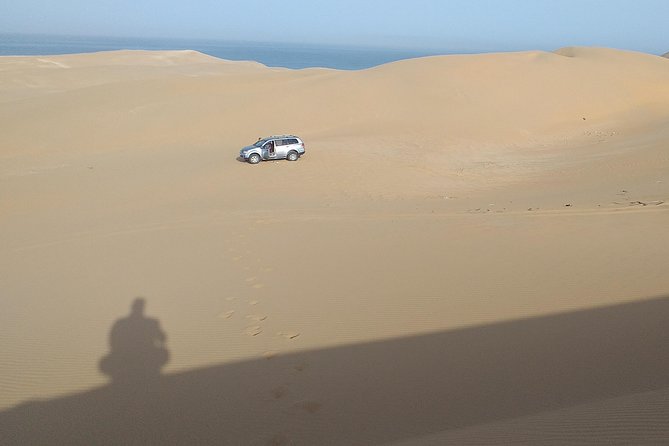 4 hours.Agadir : Trip to Sahara and tifnit fishing village - Seeing the Sahara without the long haul