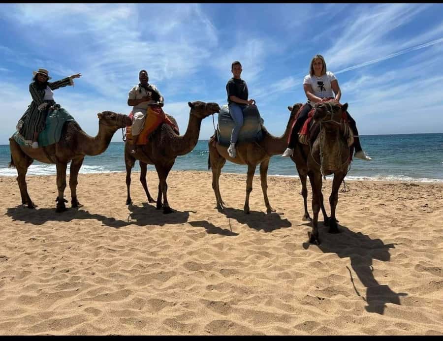 4 Hours Deluxe Guided Tour of Tangier + A tour with camels - Price and value: is $84 a fair deal for this route?