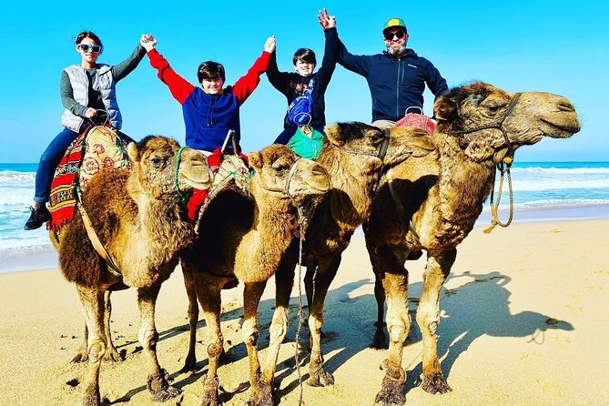 4 Hours Private Tour of Tangier & Camel Ride & Colorful Markets - Tangier Casbah and the palace hill feeling