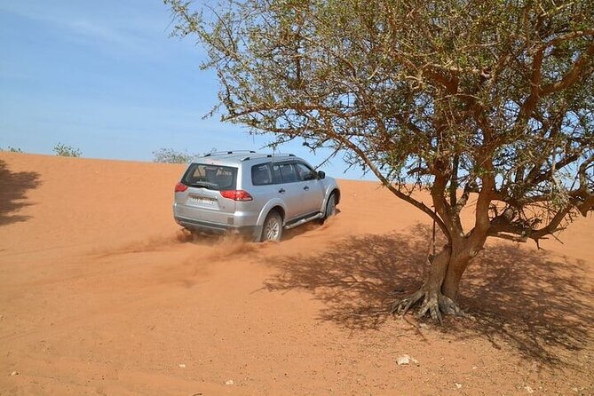 4 WD Agadir Small desert discovery including lunch - Food, drinks, and what to expect at lunch