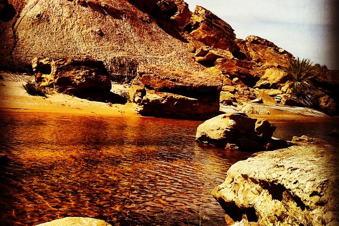 4x4 excursion to Safsaf Wild Oasis with traditional Berber picnic - The Tisserdmine Fossil Stop: A Desert Surprise