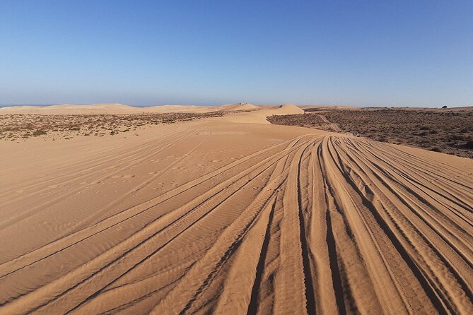 4×4 Jeep Desert Safari Tour with Lunch and Camel Ride - Sidi Rbat fishermen’s caves and shell hunting on the beach