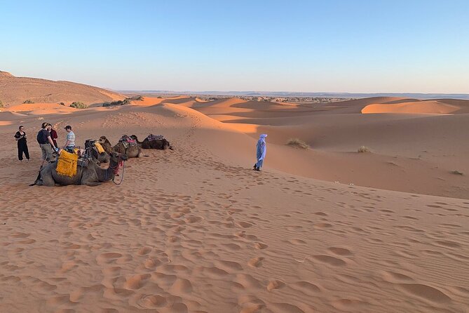 4×4 Jeep Desert Safari Tour with Lunch and Camel Ride - Souss Massa National Park and the Massa Valley drive