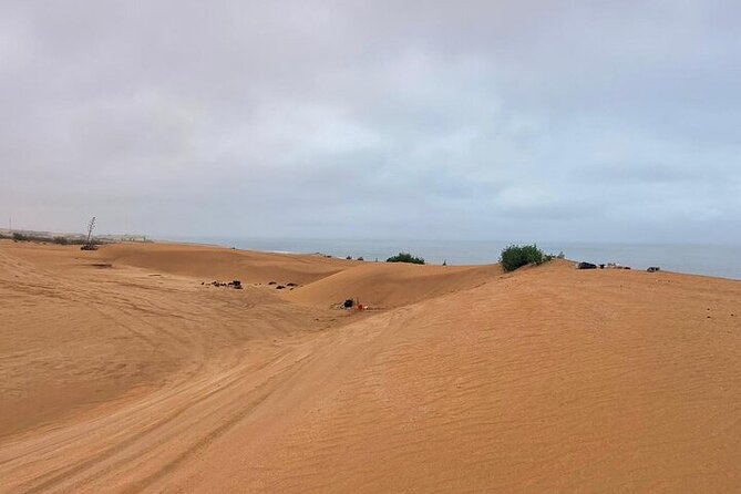 4x4 Jeep Safari in Agadir Mini Sahara and Berber Lunch - Argan oil and cactus honey: what you can learn in 30 minutes