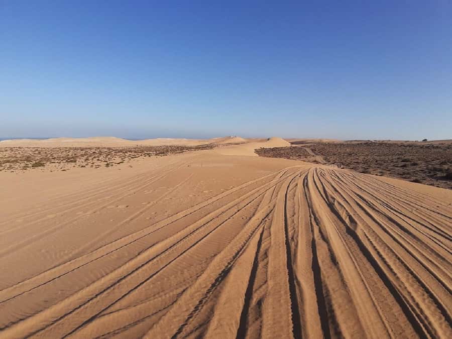4×4 Jeep Sahara Desert Tour with Lunch & Hotel Transfers - Savage beach caves and Atlantic viewpoints