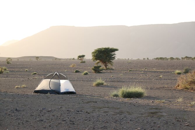 5-Day Desert Hiking Adventure from Merzouga - Who this trek is perfect for (and who should pick something else)