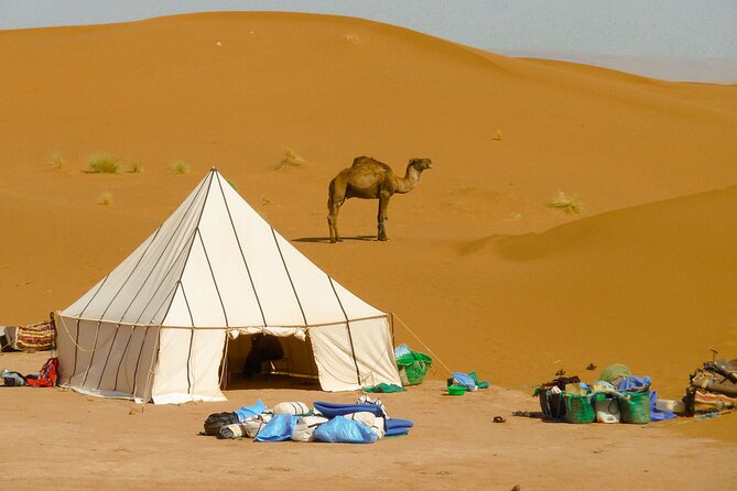 5-Day Desert Hiking Adventure from Merzouga - Practical planning: what to pack and what to expect