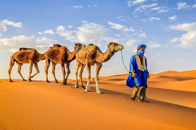 5 Day Private Morocco Tour from Casablanca - Marrakech day trip from Casablanca: camel ride, Majorelle Garden, and the Medina circuit