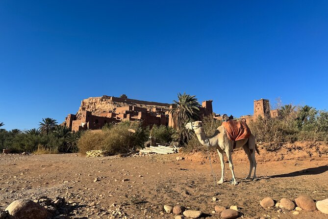 5-Day Private Tour to Sahara and ErgChebbi from Marrakech - Day 5 Ouarzazate region forts: Taourirt and Ait Ben Haddou UNESCO