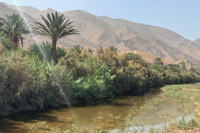 5-Day Private Tour to Sahara and ErgChebbi from Marrakech - Day 2 over Tizi n’Tichka: High Atlas viewpoints and Ouarzazate stops
