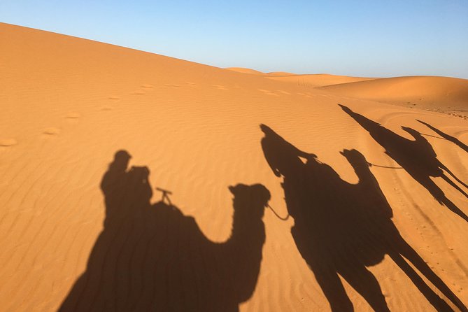 5-Day Tour - Fes and Sahara from Casablanca - Private Group - Leaving Fes for Merzouga: Ifrane, cedar forests near Azrou, and Atlas driving