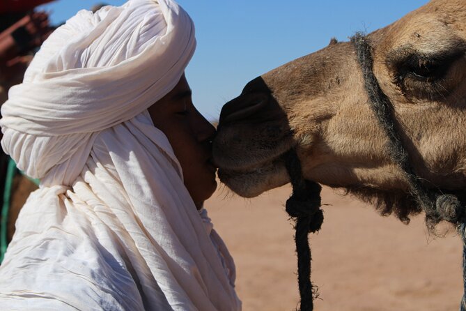 5-day trek - In the Draa Valley - The Draa Valley Story: Why This Route Feels Different