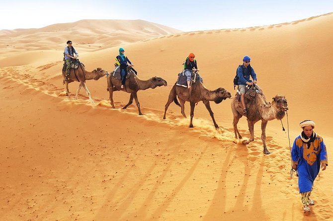 5 Days Casablanca To Sahara Desert - Ocean-side start: Hassan II Mosque and a smooth Casablanca pickup