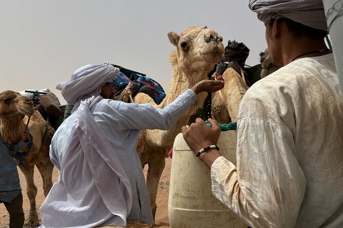 5 Days Desert Trekking from Marrakech - Food, tents, and what is actually included