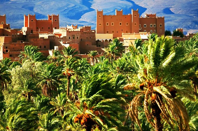 5 Days Marrakech & Desert Tour - Day 3: Merzouga and Erg Chebbi Camel Ride to a Desert Bivouac