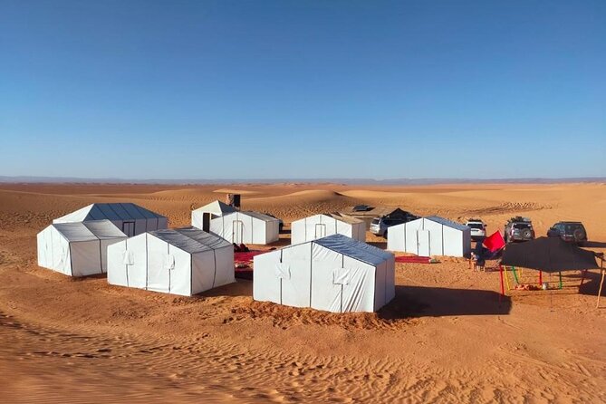 5 Days Marrakech & Desert Tour - Day 4: Zagora’s Oasis Plateaus, Tazarine Henna Country, and Another Night in Town
