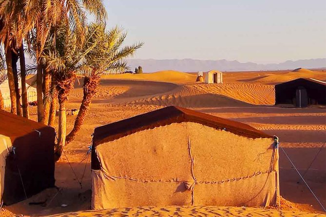 5 Days Marrakech & Desert Tour - Day 5: Draa Valley Drive to Marrakech and the Final City Days