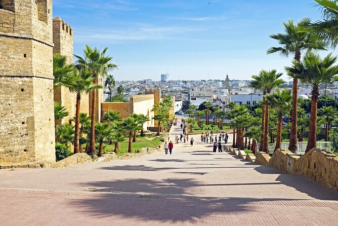 5 days private Casablanca tour to Marrakech via Fès and desert - Who this private tour fits best