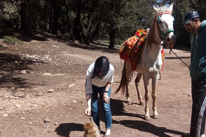 5 Days Private Tour from Casablanca to Fes and Sahara Desert - Merzouga and Sahara camp: what camel time really gives you