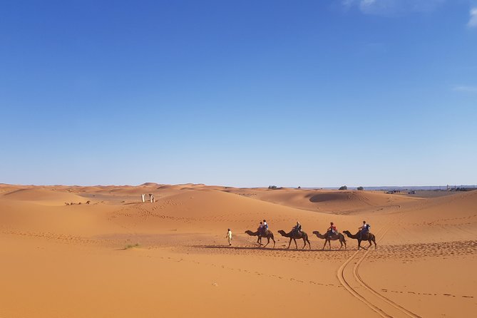 5 Days Tour From Fes - Erg Chebbi Camel Riding and Berber Tent Sleep