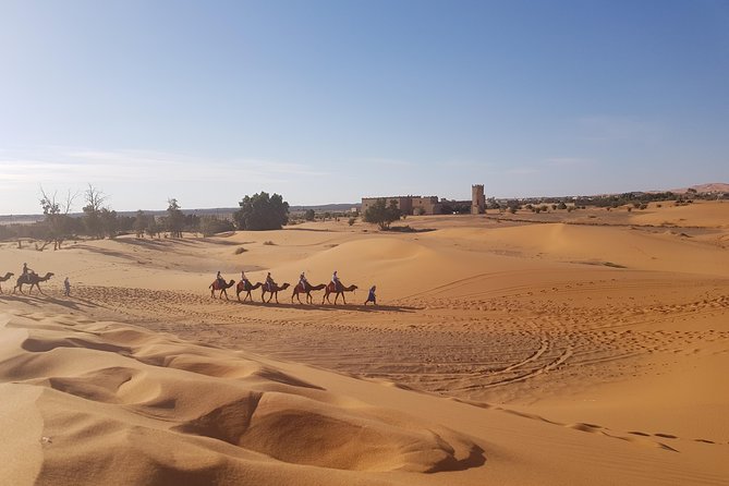 5 Days Tour From Fes - Dinner and Breakfast Included, Drinks and Lunch on You
