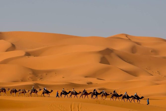 5 Days Tour from Tangier to Marrakech Via Sahara Desert - Fes el-Bali With a Real Guided Loop: Royal Gate, Mellah, Tanneries