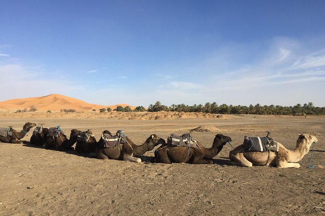 5 Days tours from Tangier to Chefchaouen, Fez, Merzouga Desert and Marrakech - Day 5: Ait Ben Haddou Kasbah and UNESCO-Listed Atlas Villages