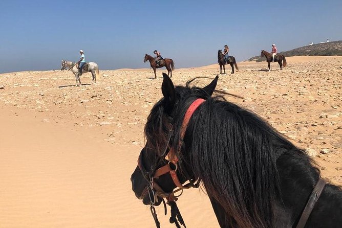 5 hours ride + picnic - Key highlights you’ll care about