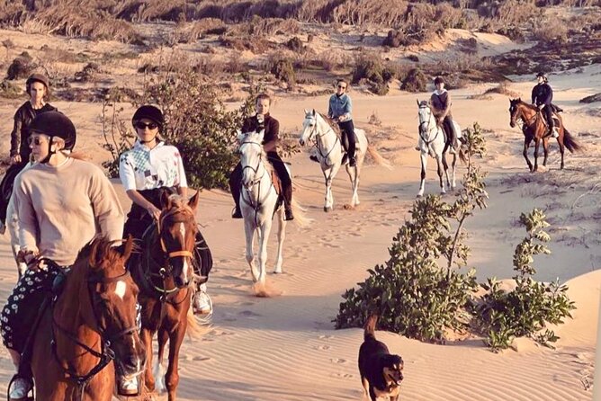 5 hours ride + picnic - From Diabat Stables to the Saddle: what starts your ride right