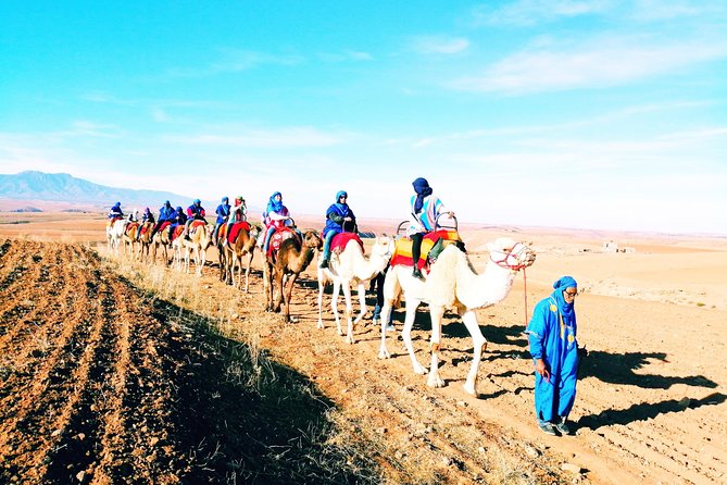 5 Valleys Atlas mountains day trip from Marrakech with camel ride - Key Highlights You Should Know Before You Go